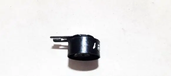 Citroen C3 Generator/alternator belt tensioner