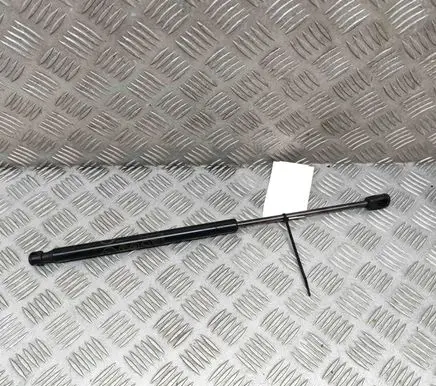 Ford Mustang Mach-E Front bonnet/hood damper/strut LJ8BR16C827AB
