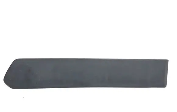 Rear door trim (molding)