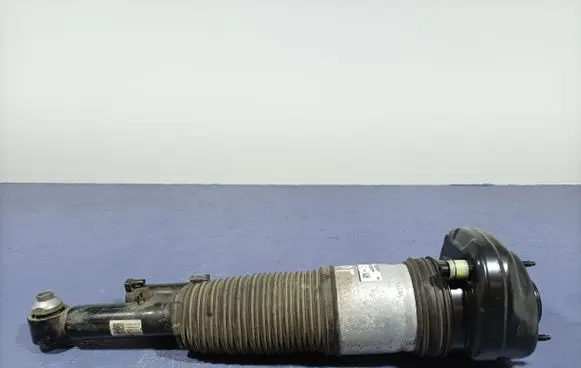 Rear shock absorber/damper