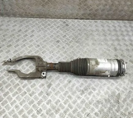 Land Rover Range Rover Sport L494 Air suspension front shock absorber DPLA3C285CH