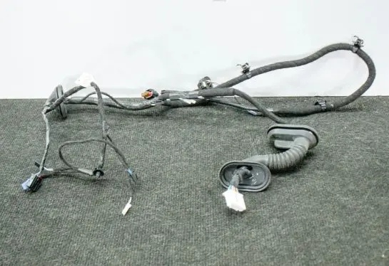 Tesla Model 3 Other wiring loom 206796600A