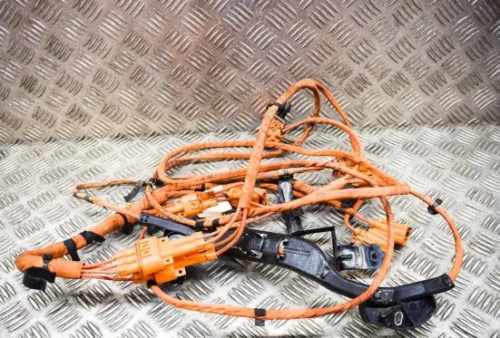 Volkswagen ID.4 Other wiring loom 1EA971616 1EA971398AH