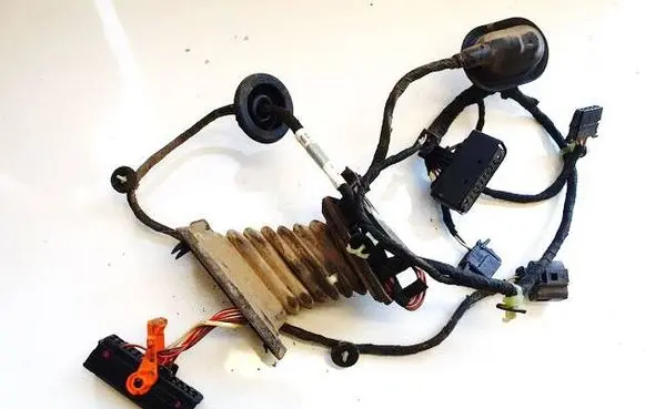 Volkswagen PASSAT B6 Other wiring loom 3C0971615