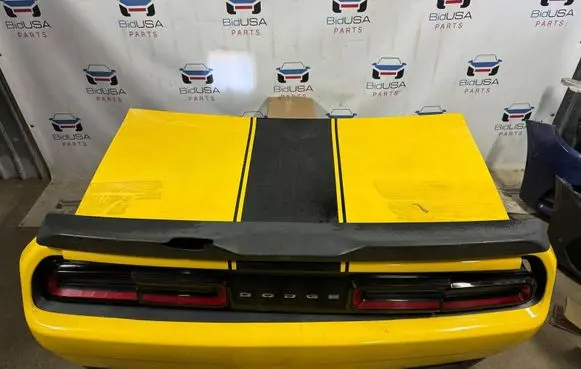 Dodge Challenger Set of end parts 