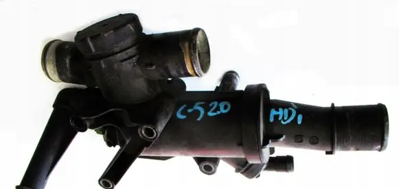Thermostat/thermostat housing