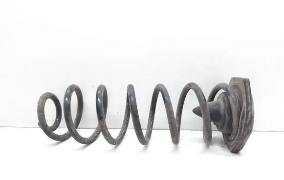 Rear coil spring