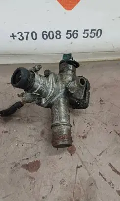 Volkswagen Golf IV Engine coolant pipe/hose 038121133A