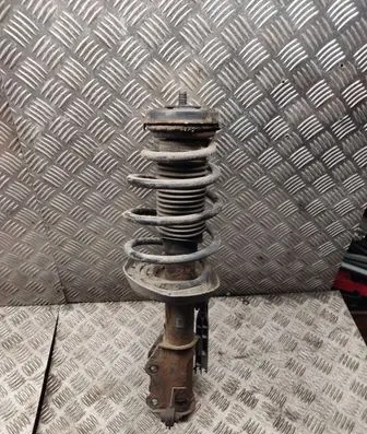 Opel Insignia A Front shock absorber with coil spring