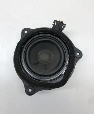 Front door speaker