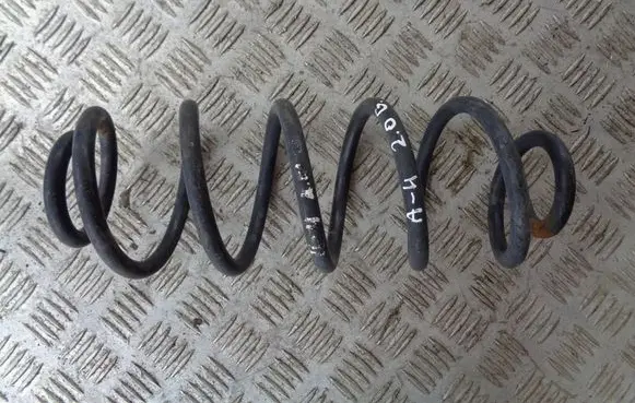 Rear coil spring