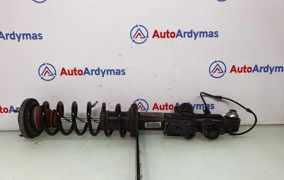 BMW 5 F10 F11 Rear shock absorber/damper 6796860 37126796860