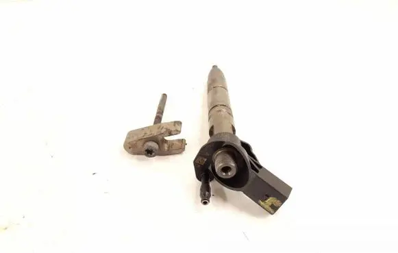 Mercedes-Benz R W251 Fuel injector 6420700587 6420701987