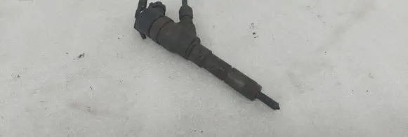 Peugeot 406 Fuel injector 9637536080 0445110044