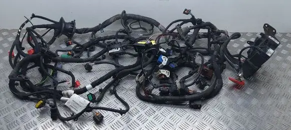 Citroen Jumpy Other wiring loom 9675350180