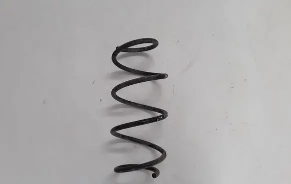 Renault Megane IV Front coil spring 540105880R