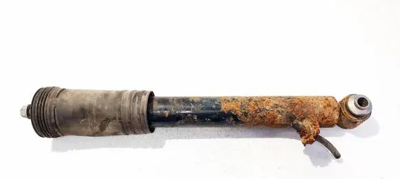 BMW X6 E71 Rear shock absorber/damper 3352678301702
