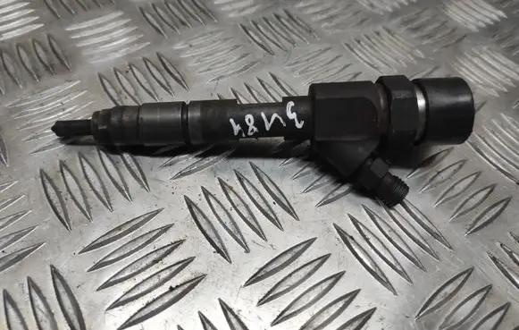 Renault Megane II Fuel injector 8200100272 0445110110A