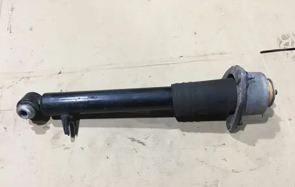 BMW X5 E70 Rear shock absorber/damper 6781928