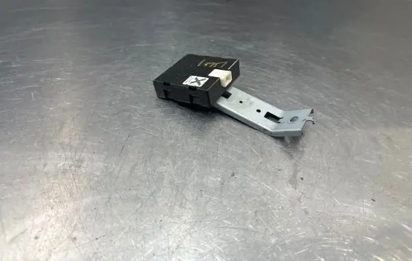Nissan Leaf I (ZE0) Other control units/modules WC1G171A 108AB