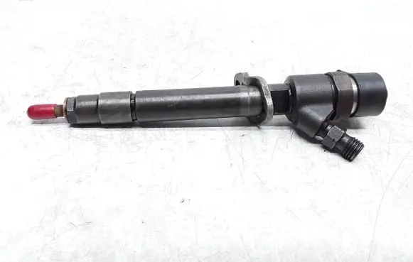 Volvo V50 Fuel injector 30750283 0445110251