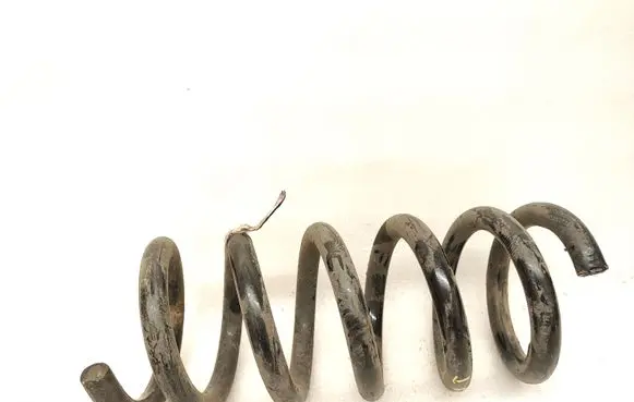 Ford Mustang VI Rear coil spring