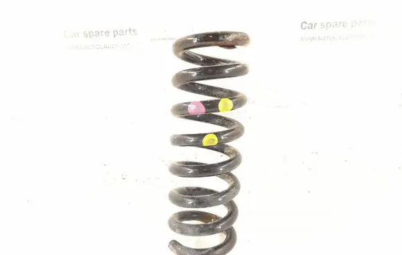 Rear coil spring