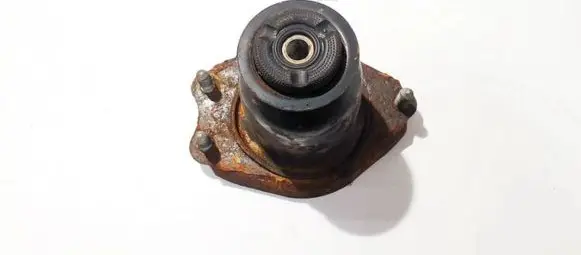 Coil spring mount