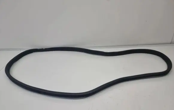 Rear door rubber seal (on body)