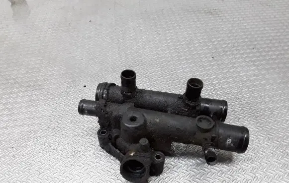 Thermostat/thermostat housing