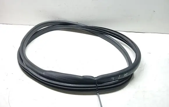Renault Fluence Rubber seal rear door 