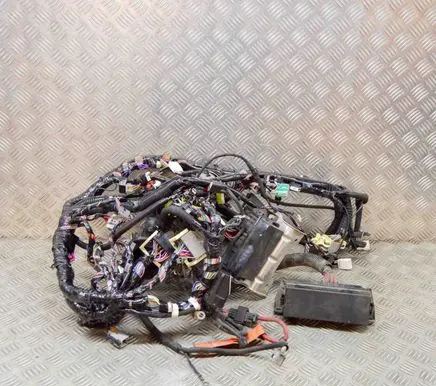 Tesla Model S Other wiring loom 100442303H 100676300D