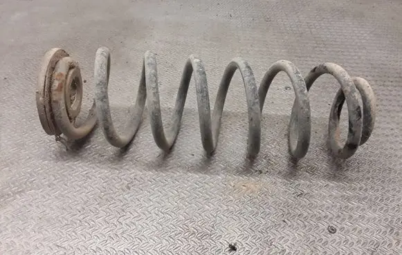 Volkswagen PASSAT B6 Rear coil spring