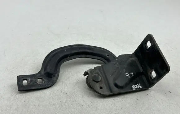 Tailgate/trunk/boot hinge