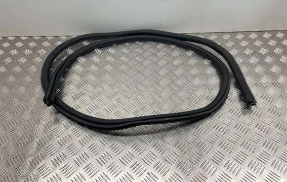 Ford Focus Rear door rubber seal (on body) JX7BA253A10AE