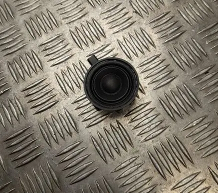 Front door high frequency speaker