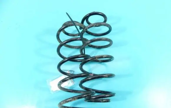 Front coil spring