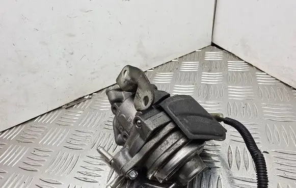 EGR valve
