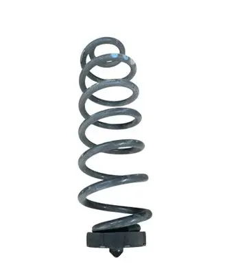Rear coil spring