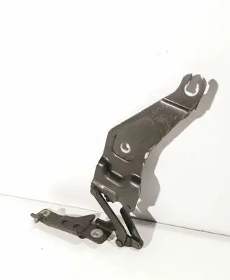 BMW X6 E71 Engine bonnet/hood hinges 7208627