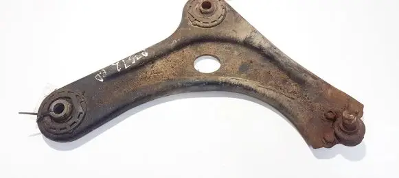 Front lower control arm/wishbone