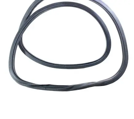 Rear door rubber seal (on body)
