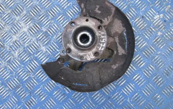 Fiat Palio Front wheel hub spindle knuckle