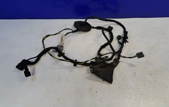 Volvo S60 Other wiring loom 31314471