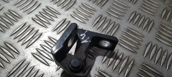 Rear door lower hinge