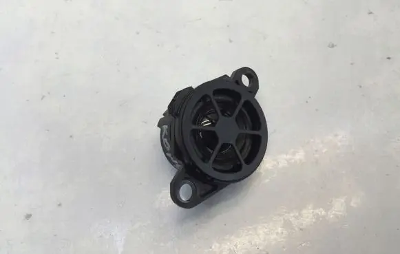 Nissan Qashqai J12 Panel speaker 248326RA0A