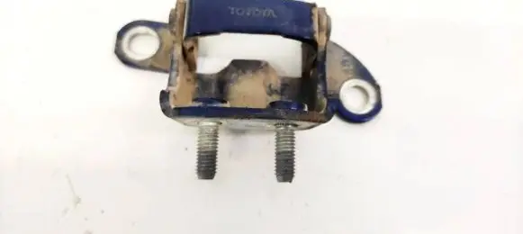 Tailgate/trunk/boot hinge