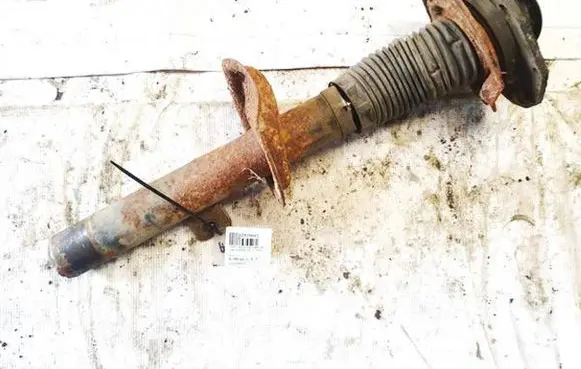 Front shock absorber/damper
