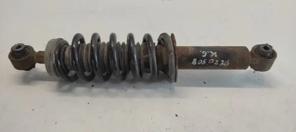 Peugeot 508 Rear shock absorber with coil spring 9593