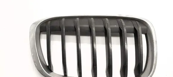 BMW X1 F48 F49 Front grill 7354824